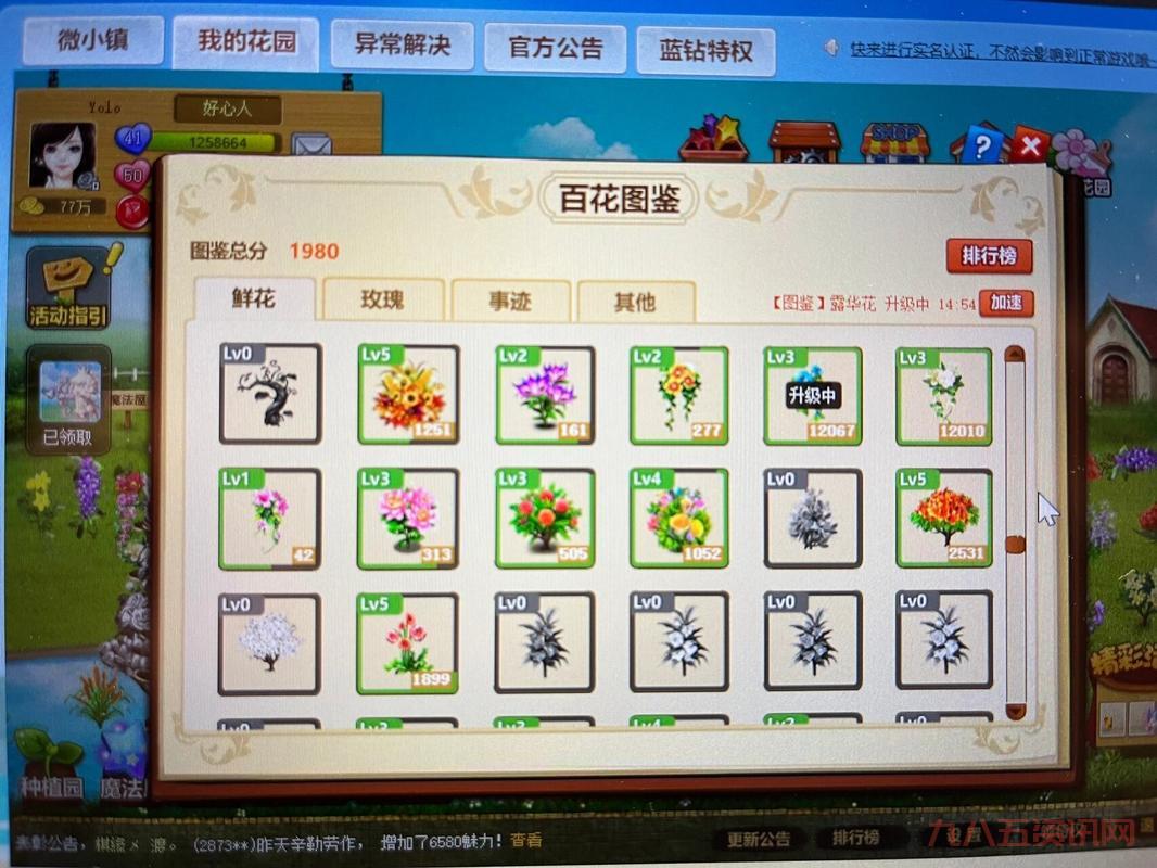 qq玫瑰小镇伴侣怎么弄?新手教程一看就会!