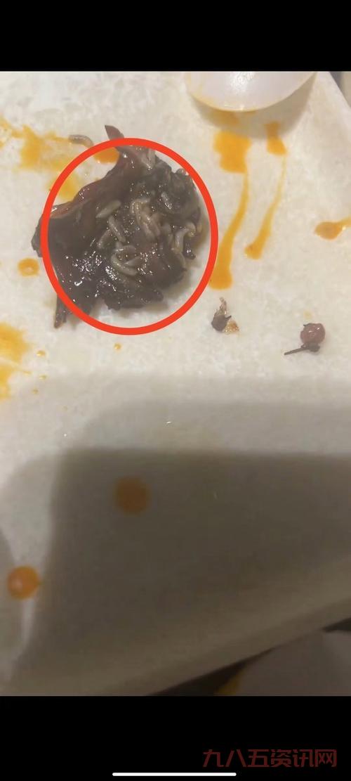 想找贪吃的蛆虫在哪?这些地方可能藏着它们!