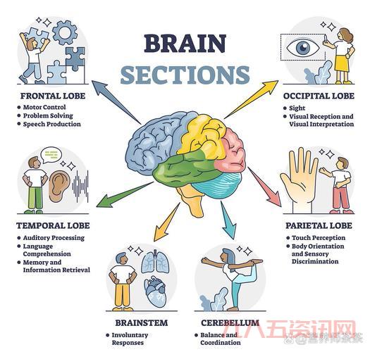 mrbrain怎么操作?超详细步骤图文教程!
