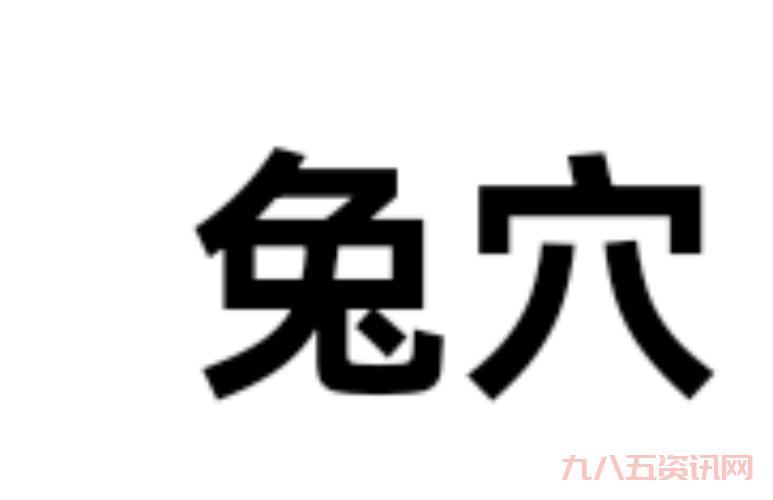 兔区是什么地方?老司机带你了解这个神秘论坛!