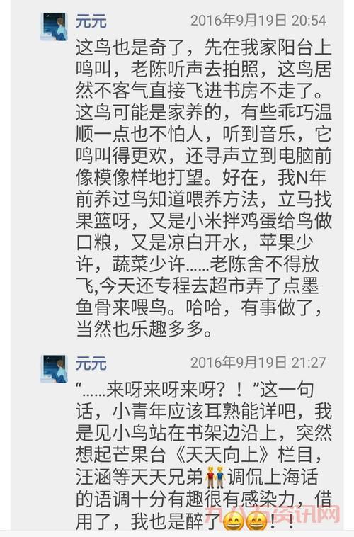 小黄说说1000字解读:让你快速掌握核心内容!