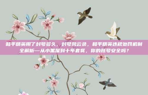 和平精英用了封号多久,封号风云录,和平精英违规处罚机制全解析—从小黑屋到十年套餐,你的账号安全吗?
