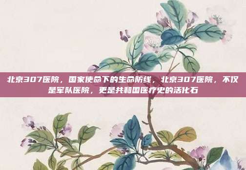 北京307医院,国家使命下的生命防线,北京307医院,不仅是军队医院,更是共和国医疗史的活化石