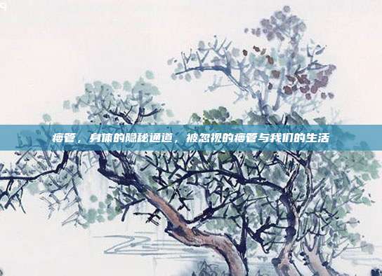 瘘管,身体的隐秘通道,被忽视的瘘管与我们的生活