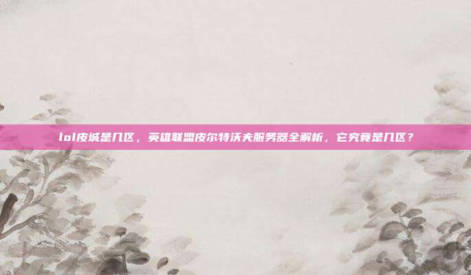 lol皮城是几区,英雄联盟皮尔特沃夫服务器全解析,它究竟是几区?