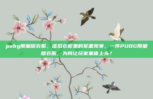 pubg限量版衣服,虚拟衣柜里的军备竞赛,一件PUBG限量版衣服,为何让玩家集体上头?