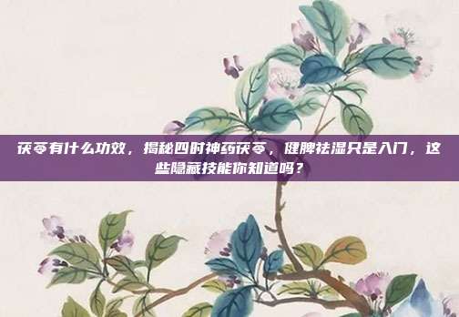 茯苓有什么功效,揭秘四时神药茯苓,健脾祛湿只是入门,这些隐藏技能你知道吗?