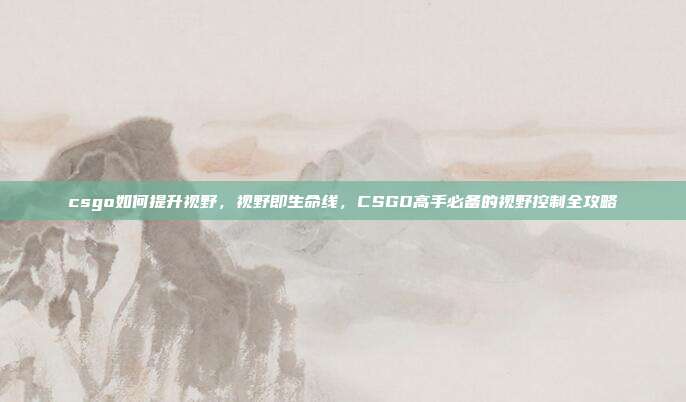 csgo如何提升视野,视野即生命线,CSGO高手必备的视野控制全攻略