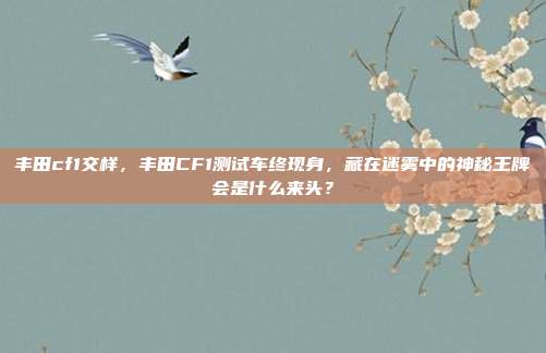 丰田cf1交样,丰田CF1测试车终现身,藏在迷雾中的神秘王牌会是什么来头?