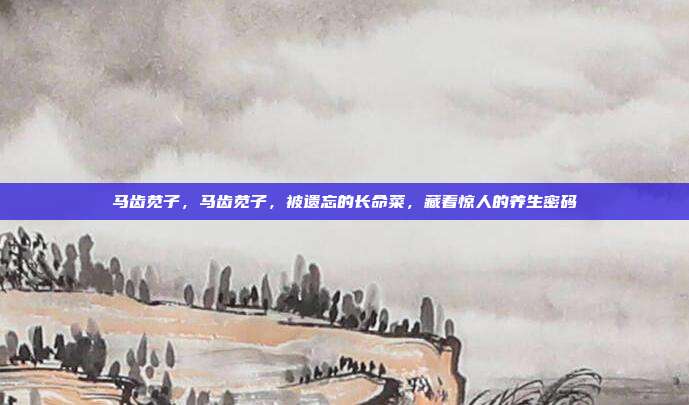 马齿苋子,马齿苋子,被遗忘的长命菜,藏着惊人的养生密码