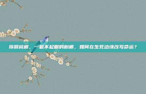 猕猴桃根,一截不起眼的树根,如何在生死边缘改写命运?