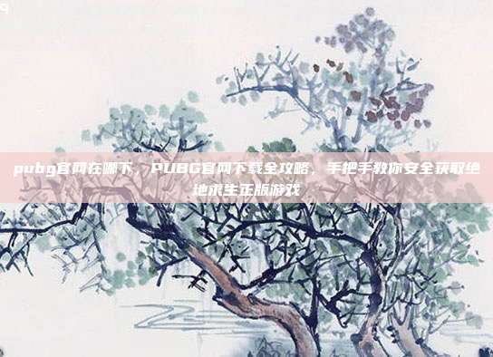 pubg官网在哪下,PUBG官网下载全攻略,手把手教你安全获取绝地求生正版游戏