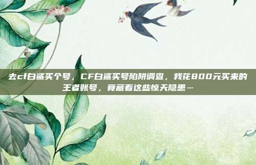 去cf白鲨买个号,CF白鲨买号陷阱调查,我花800元买来的王者账号,竟藏着这些惊天隐患…