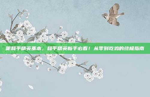 呃和平精英基本,和平精英新手必看!从零到吃鸡的终极指南