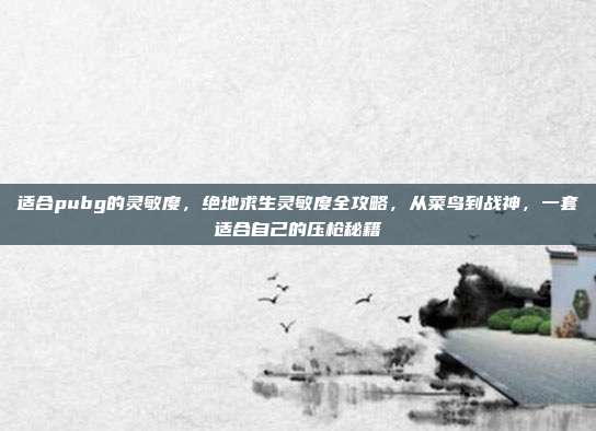 适合pubg的灵敏度,绝地求生灵敏度全攻略,从菜鸟到战神,一套适合自己的压枪秘籍