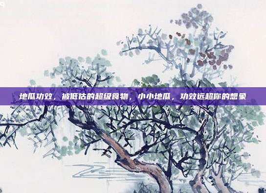 地瓜功效,被低估的超级食物,小小地瓜,功效远超你的想象