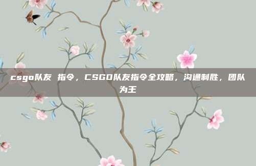 csgo队友 指令,CSGO队友指令全攻略,沟通制胜,团队为王