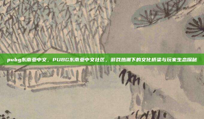 pubg东南亚中文,PUBG东南亚中文社区,游戏热潮下的文化桥梁与玩家生态探秘