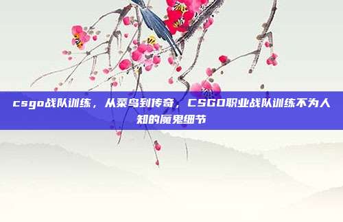 csgo战队训练,从菜鸟到传奇,CSGO职业战队训练不为人知的魔鬼细节