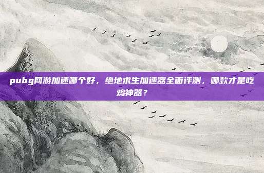 pubg网游加速哪个好,绝地求生加速器全面评测,哪款才是吃鸡神器?