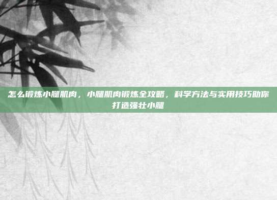 怎么锻炼小腿肌肉,小腿肌肉锻炼全攻略,科学方法与实用技巧助你打造强壮小腿