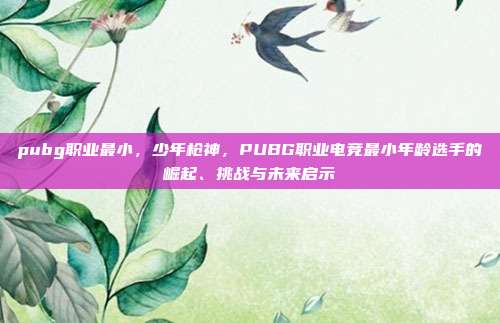 pubg职业最小,少年枪神,PUBG职业电竞最小年龄选手的崛起、挑战与未来启示