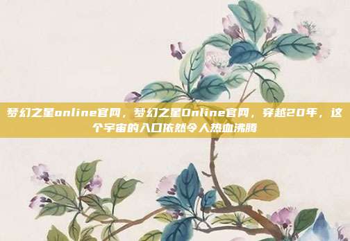 梦幻之星online官网,梦幻之星Online官网,穿越20年,这个宇宙的入口依然令人热血沸腾