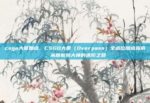 csgo大厦加点，CSGO大厦（Overpass）全点位加点指南，从萌新到大神的进阶之路