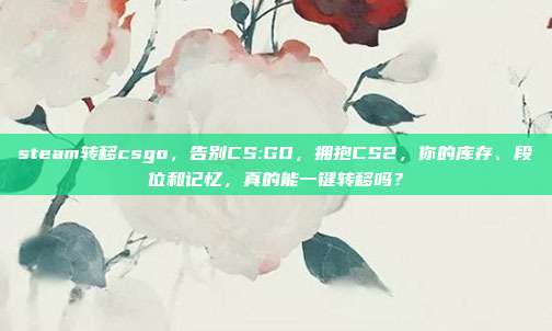 steam转移csgo,告别CS:GO,拥抱CS2,你的库存、段位和记忆,真的能一键转移吗?