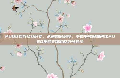 PUBG如何让B封号,从制裁到封神,手把手教你如何让PUBG里的B精准吃封号套餐