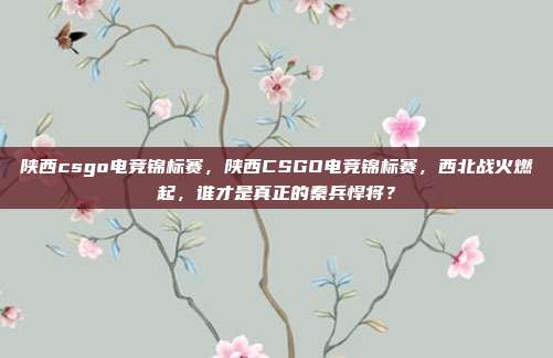 陕西csgo电竞锦标赛,陕西CSGO电竞锦标赛,西北战火燃起,谁才是真正的秦兵悍将?