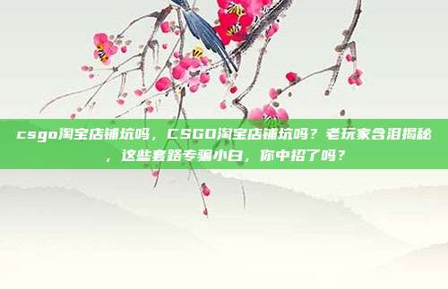 csgo淘宝店铺坑吗,CSGO淘宝店铺坑吗?老玩家含泪揭秘,这些套路专骗小白,你中招了吗?