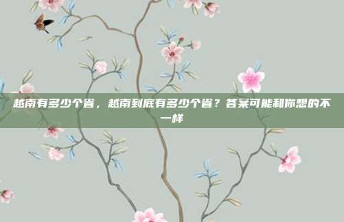 越南有多少个省,越南到底有多少个省?答案可能和你想的不一样