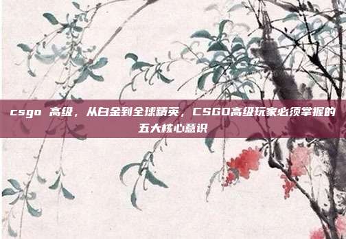csgo 高级,从白金到全球精英,CSGO高级玩家必须掌握的五大核心意识