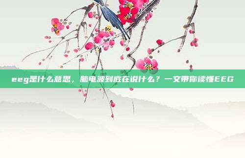 eeg是什么意思,脑电波到底在说什么?一文带你读懂EEG