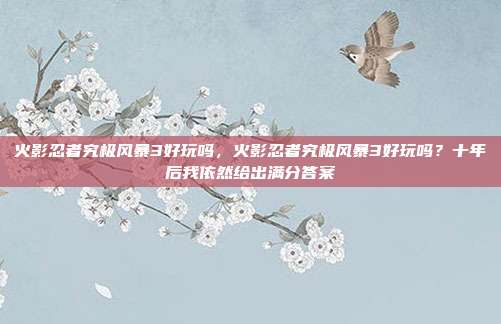 火影忍者究极风暴3好玩吗,火影忍者究极风暴3好玩吗?十年后我依然给出满分答案