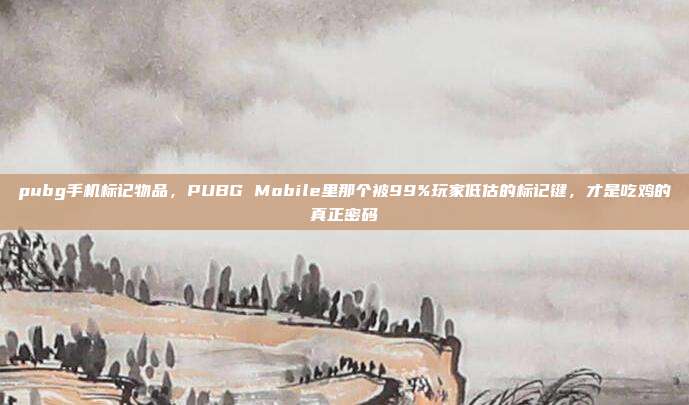 pubg手机标记物品,PUBG Mobile里那个被99%玩家低估的标记键,才是吃鸡的真正密码