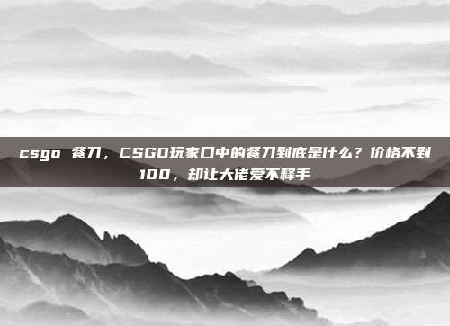csgo 餐刀,CSGO玩家口中的餐刀到底是什么?价格不到100,却让大佬爱不释手