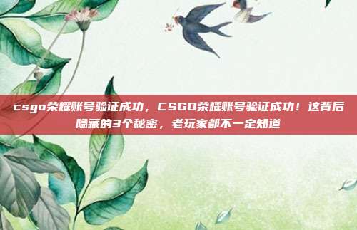 csgo荣耀账号验证成功,CSGO荣耀账号验证成功!这背后隐藏的3个秘密,老玩家都不一定知道