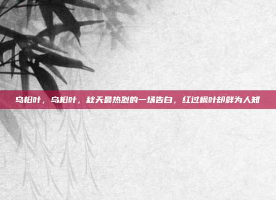 乌桕叶,乌桕叶,秋天最热烈的一场告白,红过枫叶却鲜为人知