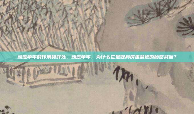 动感单车的作用和好处,动感单车,为什么它是健身房里最燃的秘密武器?