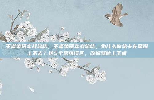王者荣耀实战总结,王者荣耀实战总结,为什么你总卡在星耀上不去?这5个思维误区,改掉就能上王者