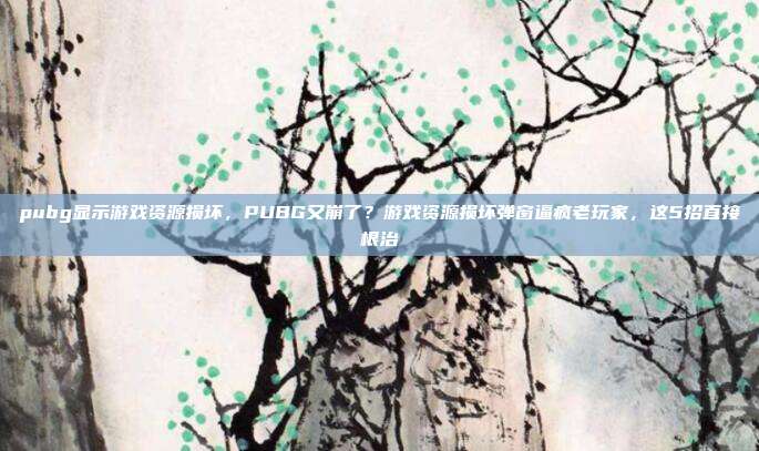pubg显示游戏资源损坏,PUBG又崩了?游戏资源损坏弹窗逼疯老玩家,这5招直接根治