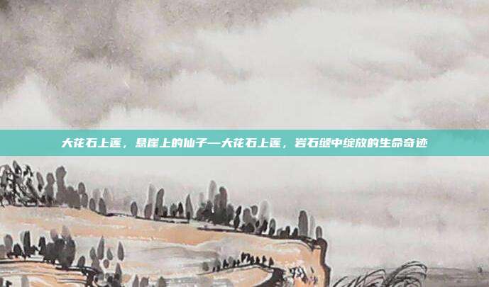 大花石上莲,悬崖上的仙子—大花石上莲,岩石缝中绽放的生命奇迹