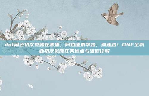 dnf角色初次觉醒在哪里,阿拉德求学路,别迷路!DNF全职业初次觉醒任务地点与流程详解