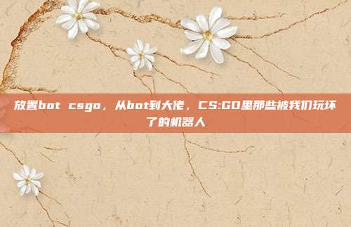 放置bot csgo,从bot到大佬,CS:GO里那些被我们玩坏了的机器人