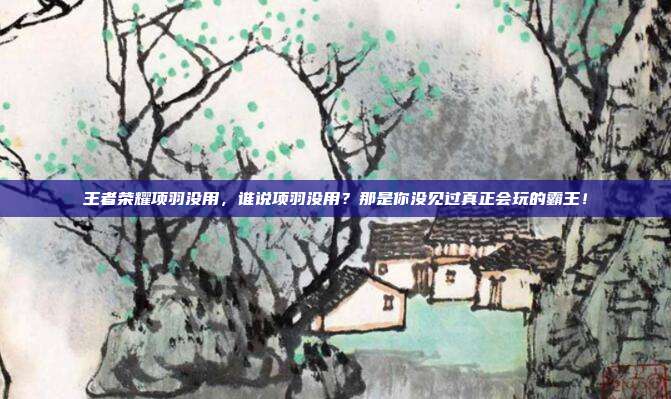 王者荣耀项羽没用,谁说项羽没用?那是你没见过真正会玩的霸王!
