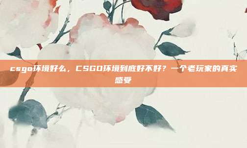 csgo环境好么,CSGO环境到底好不好?一个老玩家的真实感受