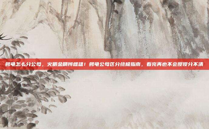 鳄龟怎么分公母，火眼金睛辨雌雄！鳄龟公母区分终极指南，看完再也不会傻傻分不清