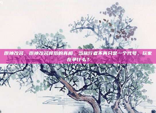 原神改名,原神改名背后的真相,当旅行者不再只是一个代号,玩家在争什么?